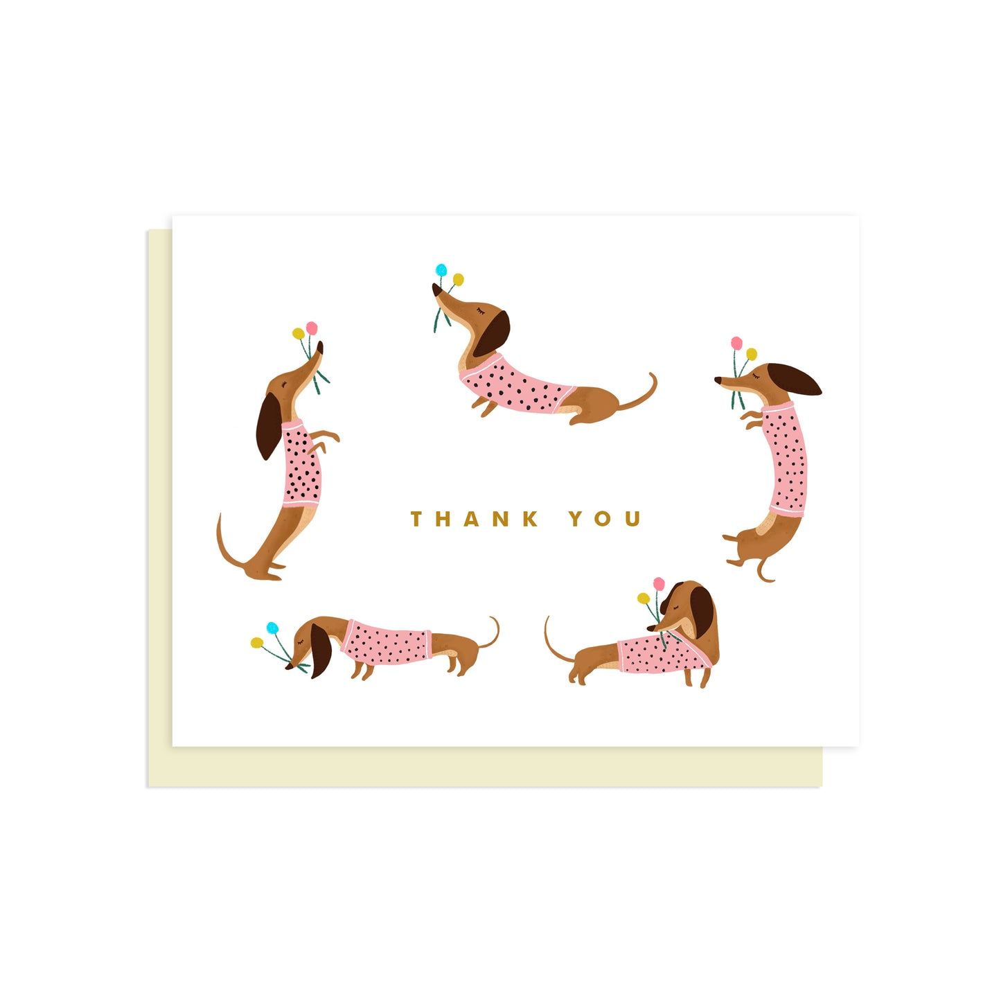 THANK YOU PLAYFUL DACHSHUND